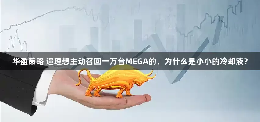 华盈策略 逼理想主动召回一万台MEGA的，为什么是小小的冷却液？